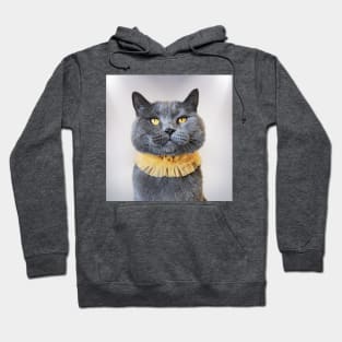 Morris The Cat - Feline Photo Hoodie